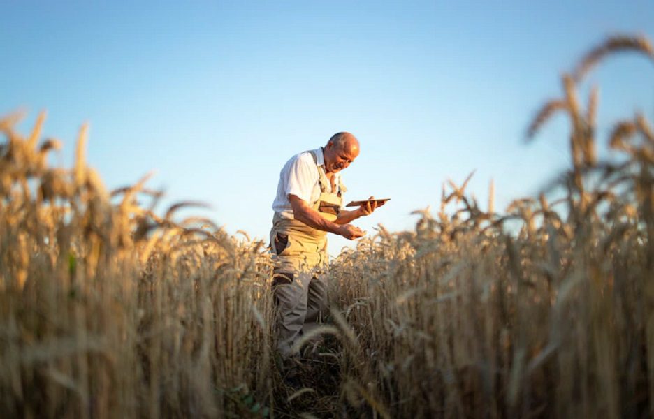 Ministério da Agricultura confirmado no AGROtic 23